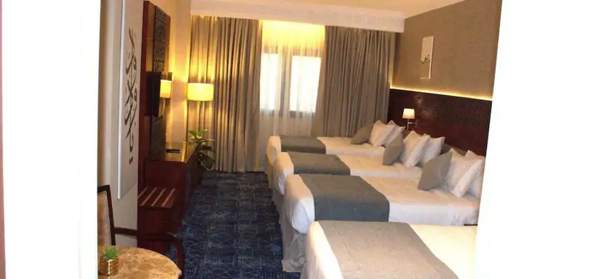 Shaza Regency Plaza image